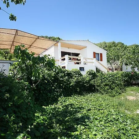 House Nova
